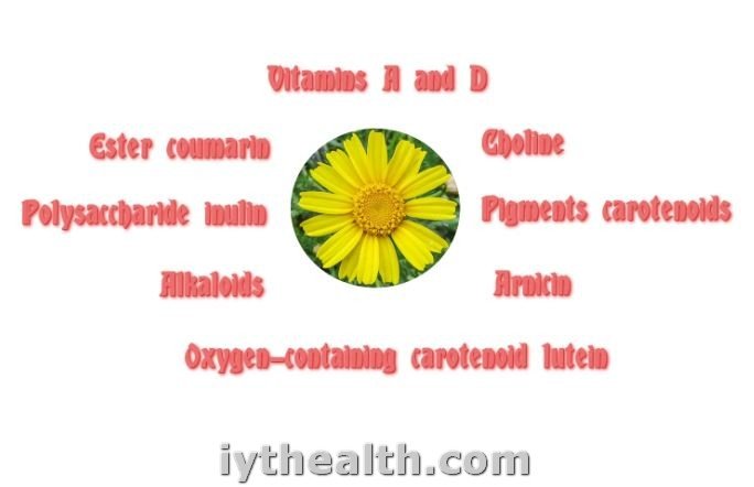 The chemical composition of Arnica oil
