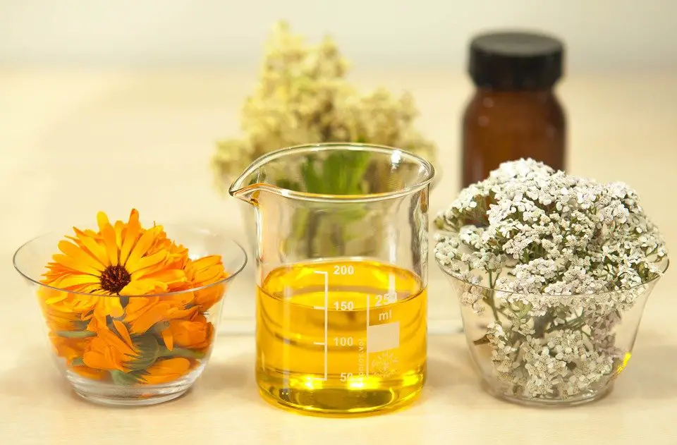 Calendula officinalis and oil