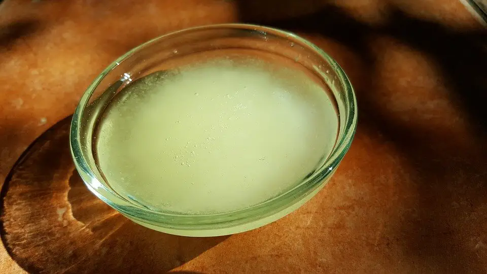 coconut oil in a glass dish
