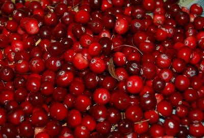 Raw cranberries