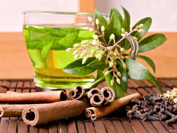 Green Ceylon Tea