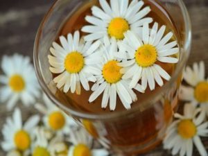 Chamomile For Weak Hair