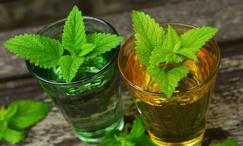 Lemon balm tea