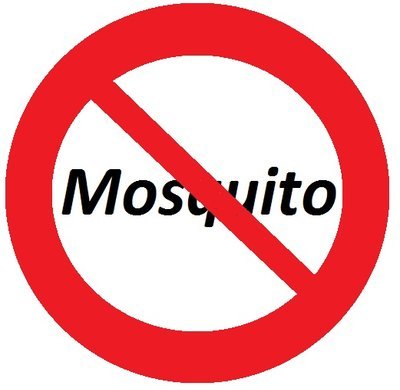 No mosquitoes