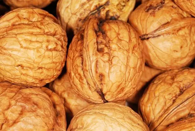 walnuts