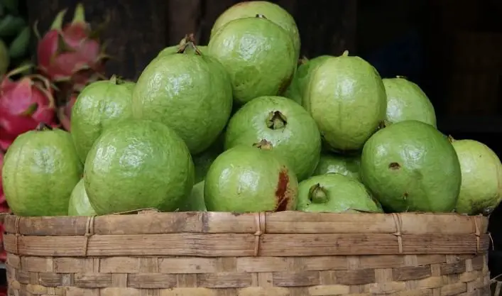 guava