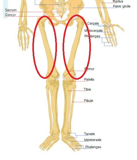 thigh-pain-causes-symptoms-iythealth