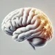 Human brain and Alzheimer's symptoms