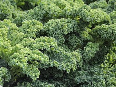 Cruciferous vegetables