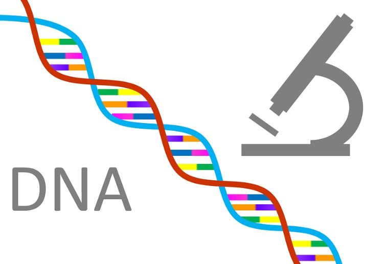 DNA and microscope