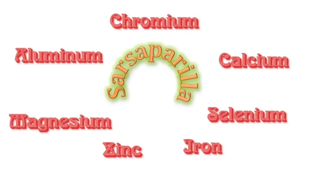 Sarsaparilla Nutrition Facts