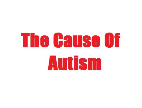 The Cause Of Autism