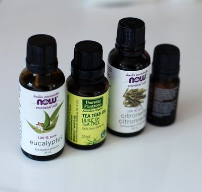 Eucalyptus oil and tea tree oil