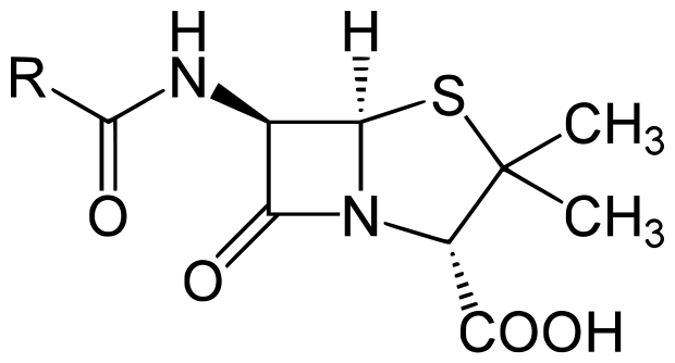 chemical structure of the Penicillin