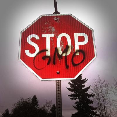 Road sign stop and GMOs