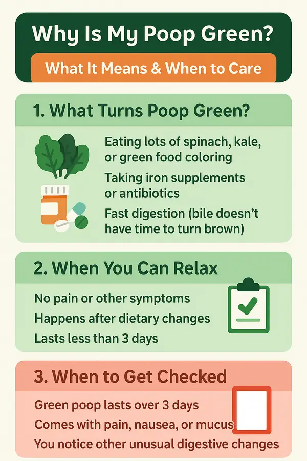 Vertical infographic explaining why poop can turn green, highlighting common causes, harmless situations, and warning signs to see a doctor.