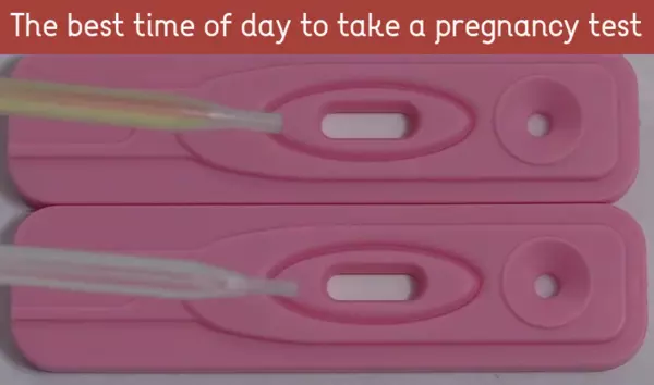 the best time of day to take a pregnancy test
