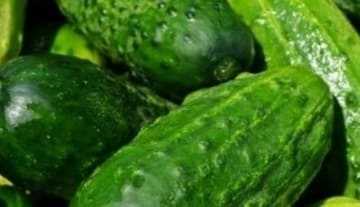 Fresh cucumbers