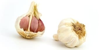 Garlic safe during pregnancy