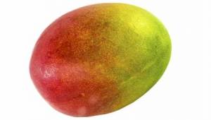 Mango during pregnancy