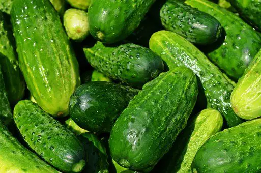 cucumbers