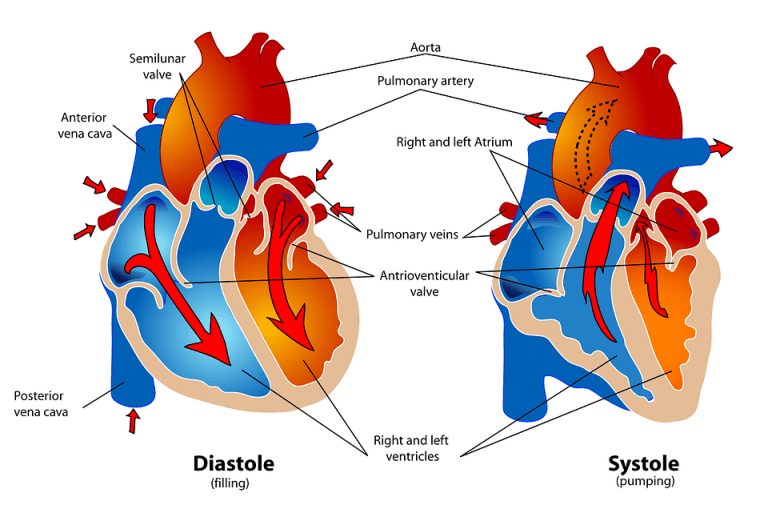 Common Causes Of Left Breast Pain Health Advisor