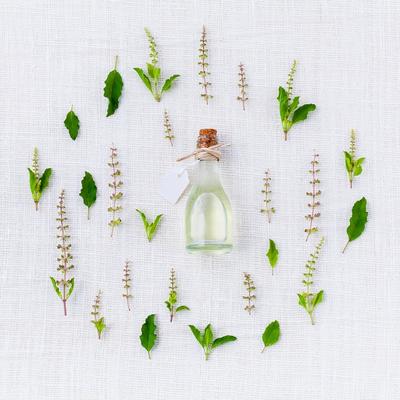 essential oils and medical herbs