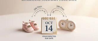 Conceptual still-life illustration by Reyus Mammadli, showing two distinct paths to estimating a baby's due date. On the left, tiny pink shoes represent conception (266 Days); on the right, a dual-face clock represents LMP (280 Days). A central calendar page displays a single, focused due date of OCT 14.