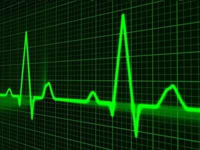 What Are Normal Fetal Heart Rates? - Health and Welfare