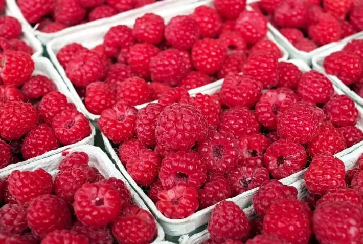 raspberry in trays