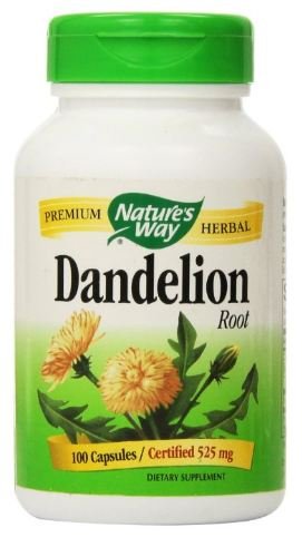 Dandelion root