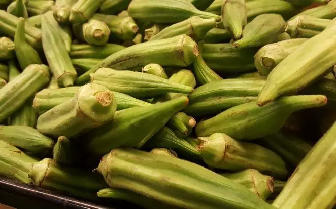 fresh okra