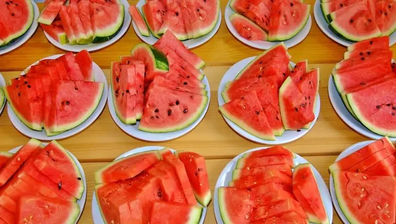 slices of watermelon