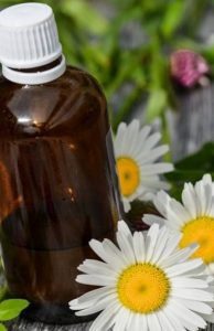 Essential oil of chamomile