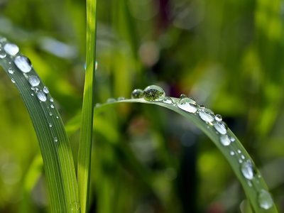 droplets of water