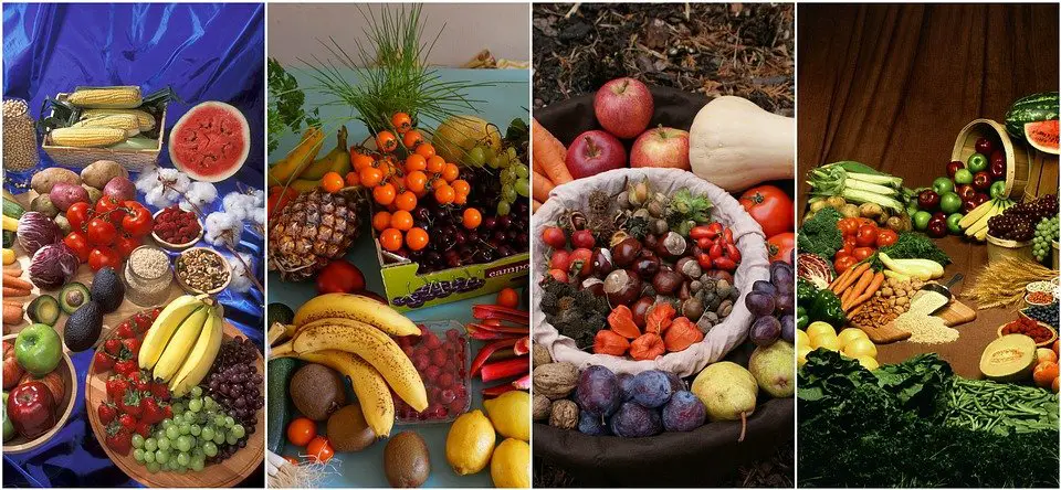 vegetables and fruits