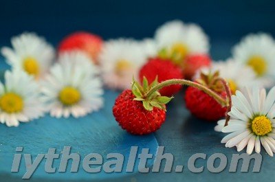 Wild strawberries and daisy flowers