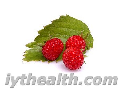 Berries and leaves of wild strawberry