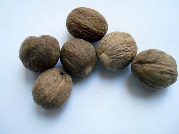 nutmeg