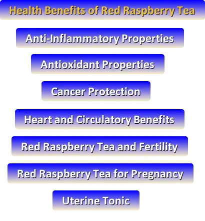 Benefits of Red Raspberry Tea