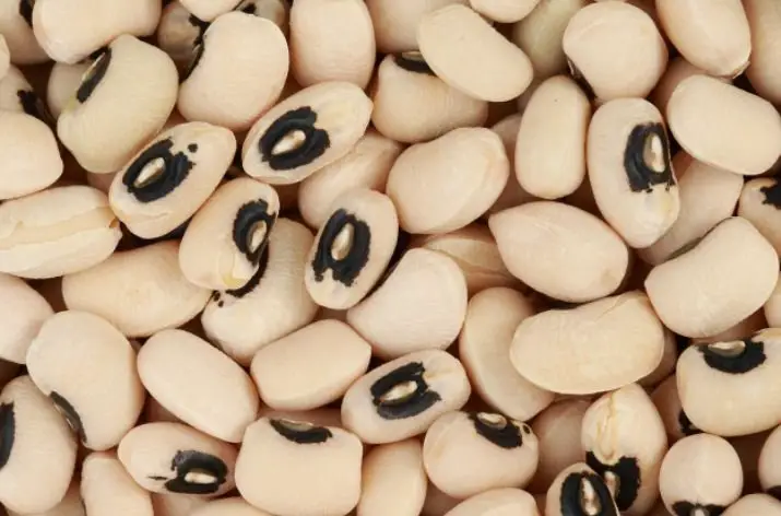 Black-Eyed Pea