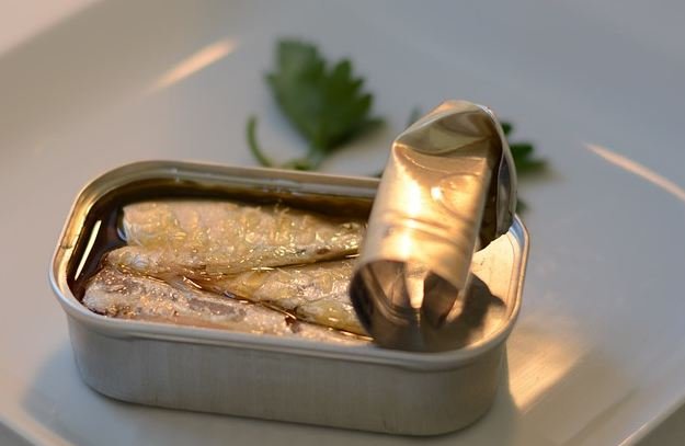 Canned sardines