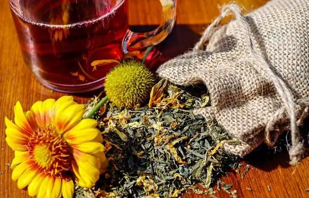 Herbal dry tea and glass of tea