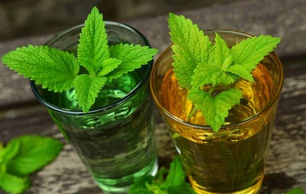 Lemon Balm