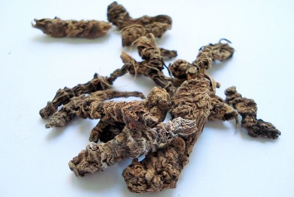 Valerian root