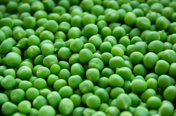 In peas there is molybdenum