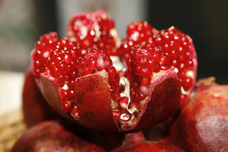 Ripe pomegranate