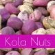 Kola Nuts