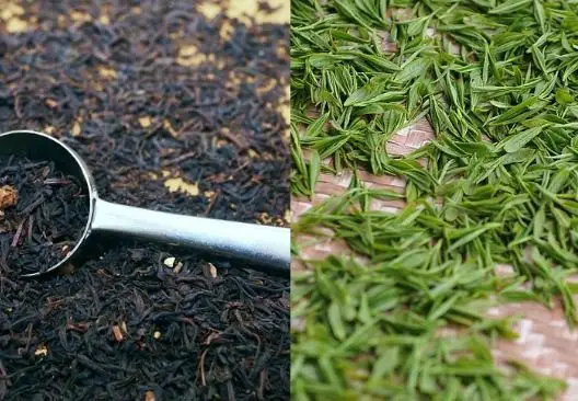 Difference between Black Tea and Green Tea