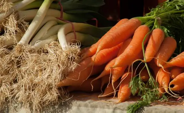 Fresh raw carrots and onions